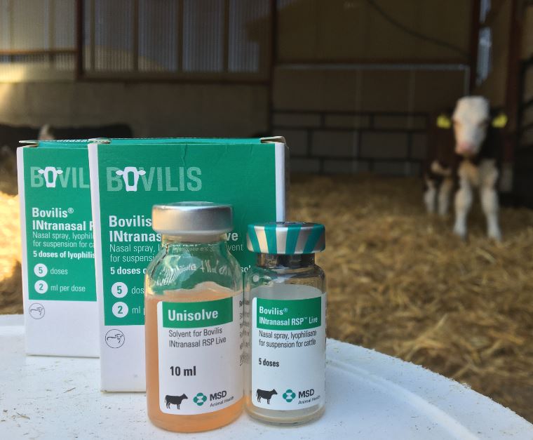 2020 Breeding preparation