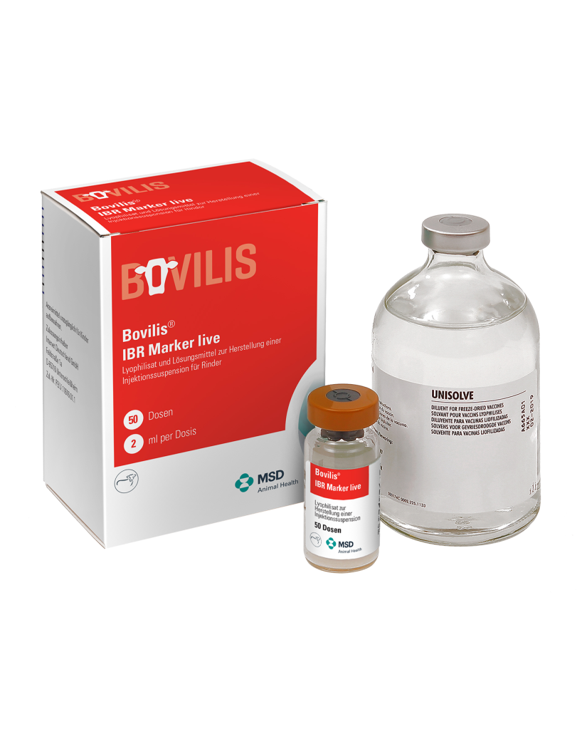 bovilis ibr marker live