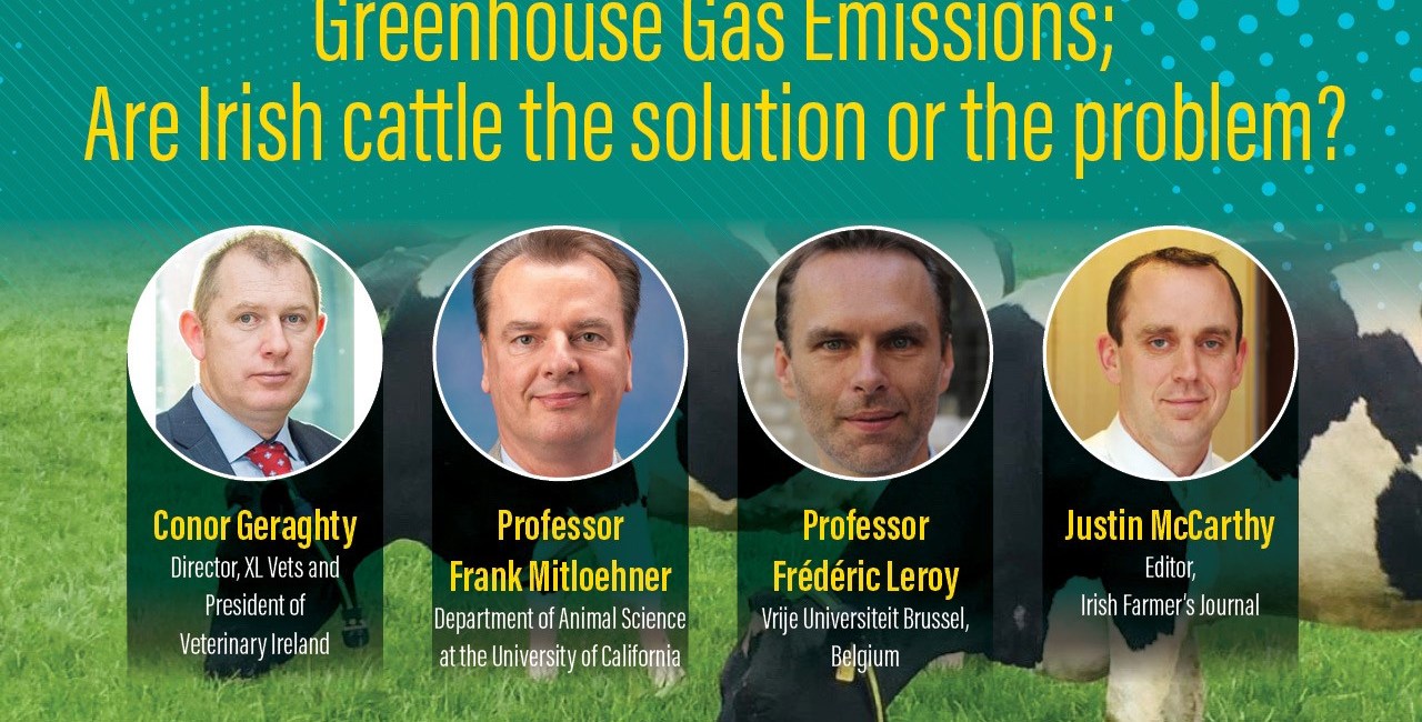 webinar poster