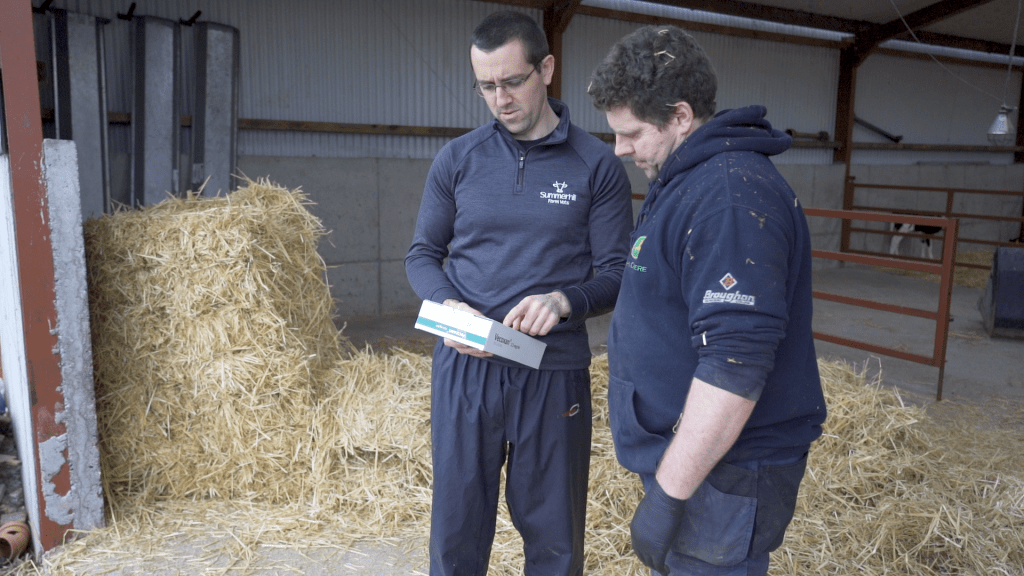 a couple of men standing in a barn