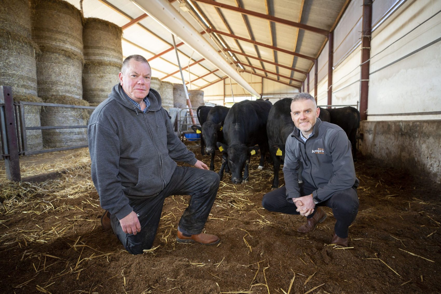 two men kneeling in a barn with cows