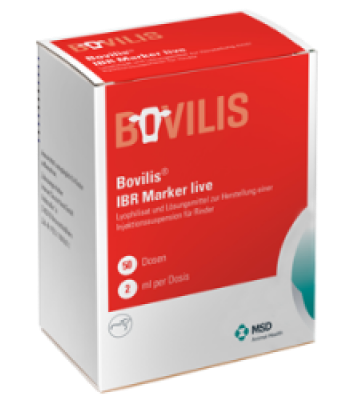 bovilis ibr marker live msd