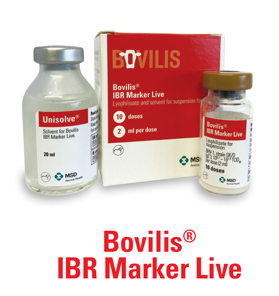 Bovilis IBR Marker Live