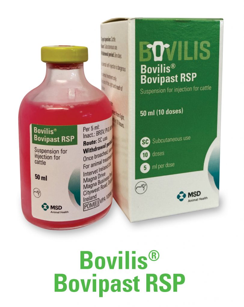 Bovilis Bovipast RSP