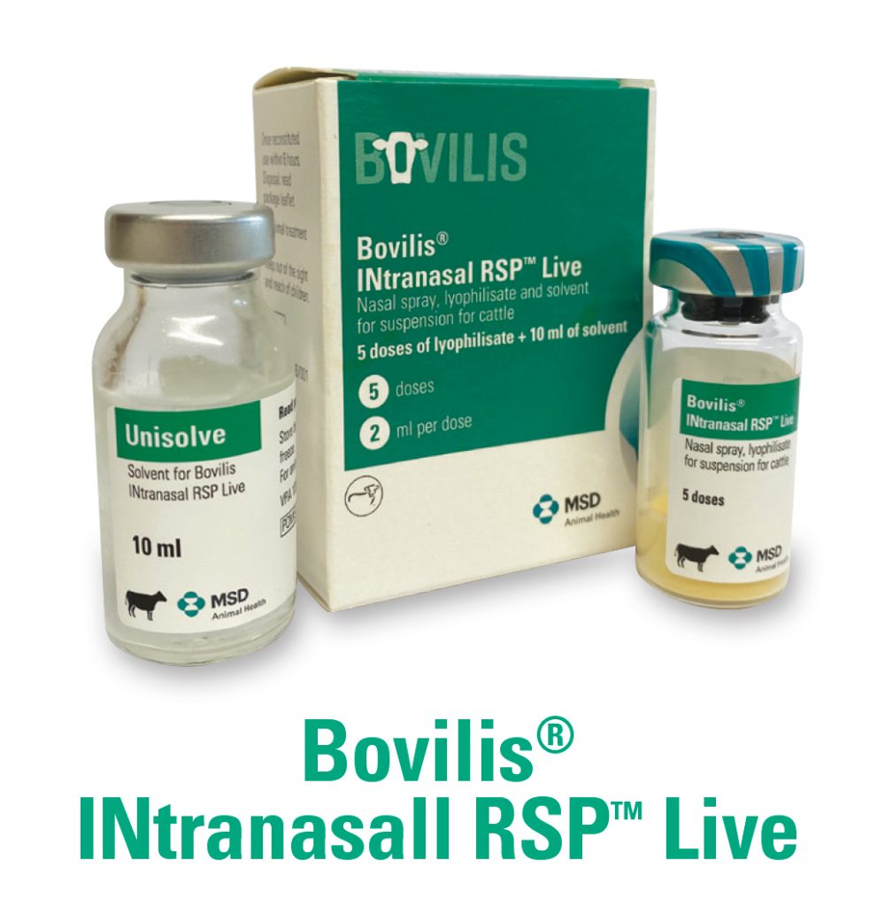 Bovilis INtranasal RSP Live