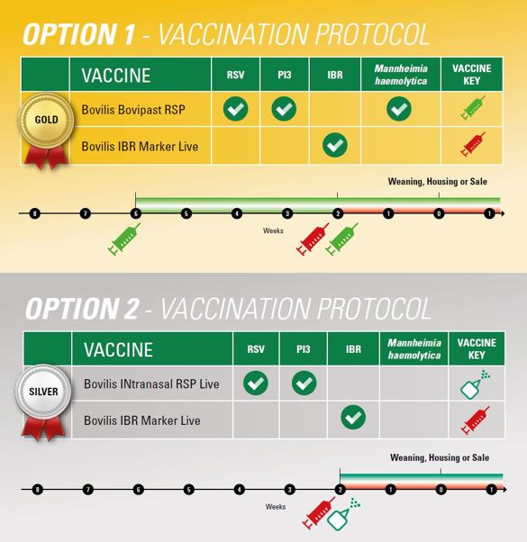 vaccination protocol options