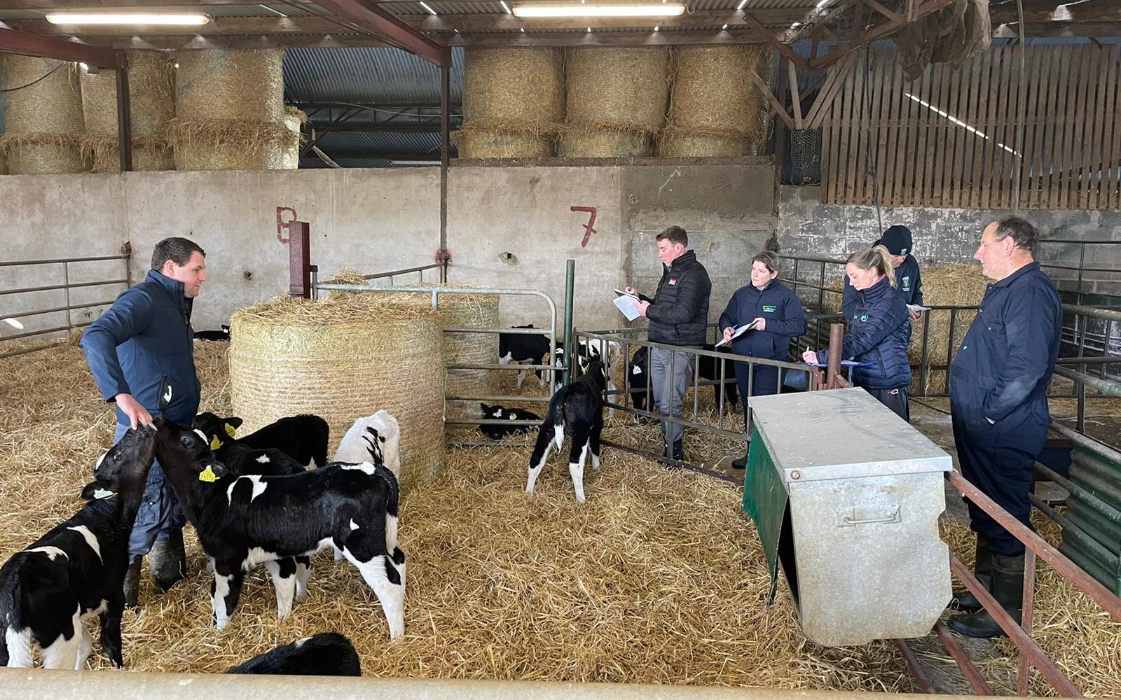 a group of people standing in a barn with cows