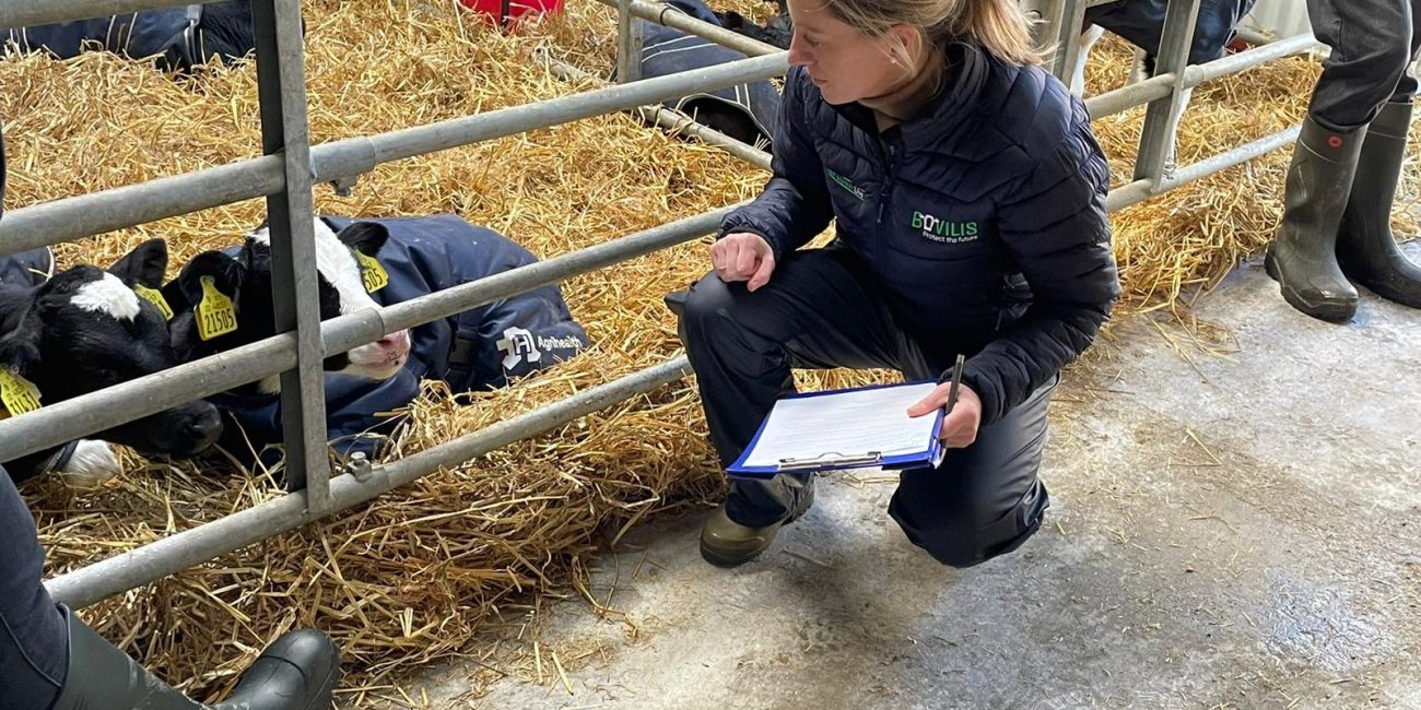 a person holding a clipboard next to a goat lying on hay