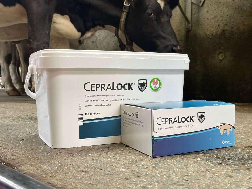 cepralock msd