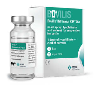 Bovilis® INtranasal RSP Live Product Image