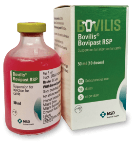 Bovilis Boviplast RSP used to prevent pneumonia in cattle