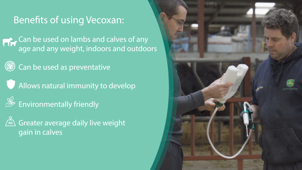 benefits of using vecoxan
