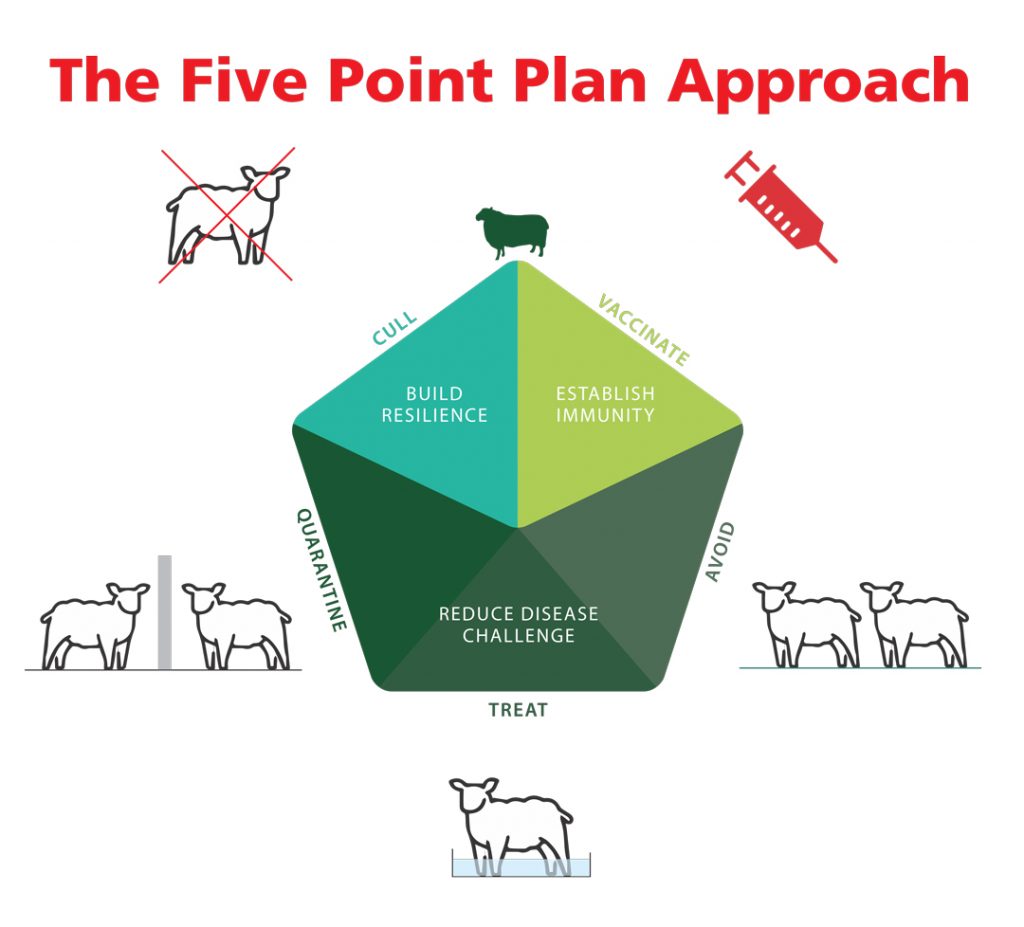 the five point plan approach