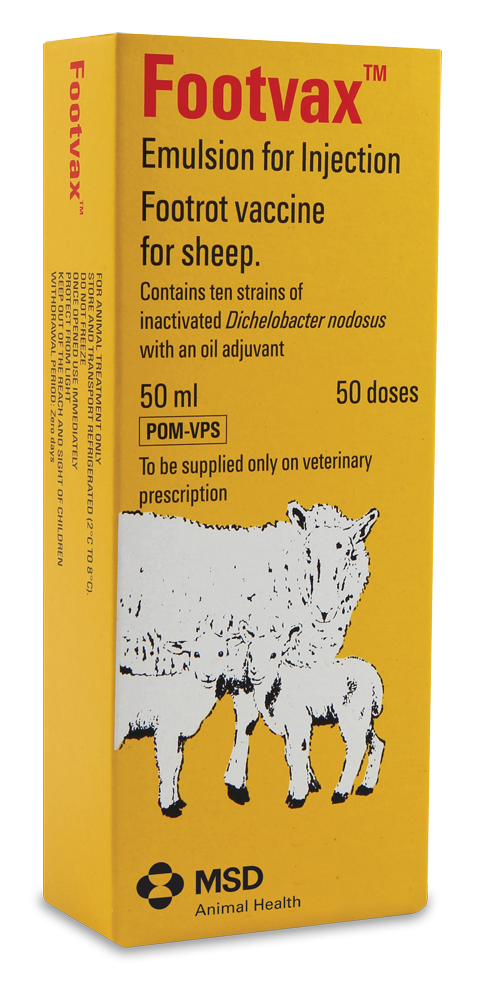 Sheep Lameness Product