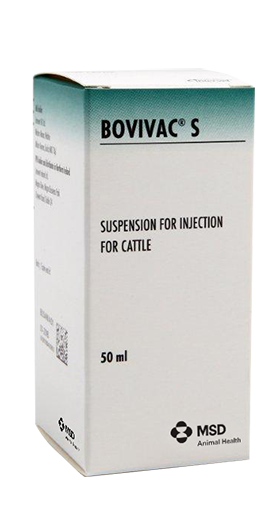 Bovivac s product