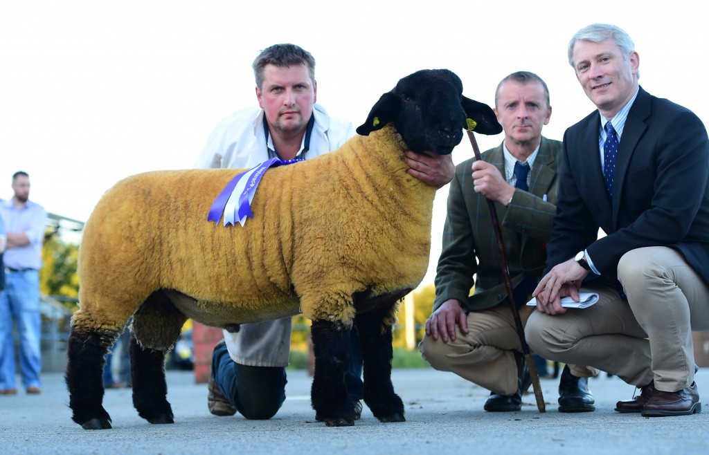 Winners of the ram lamb sire, J&R Wilson