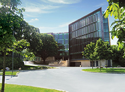 msd_building