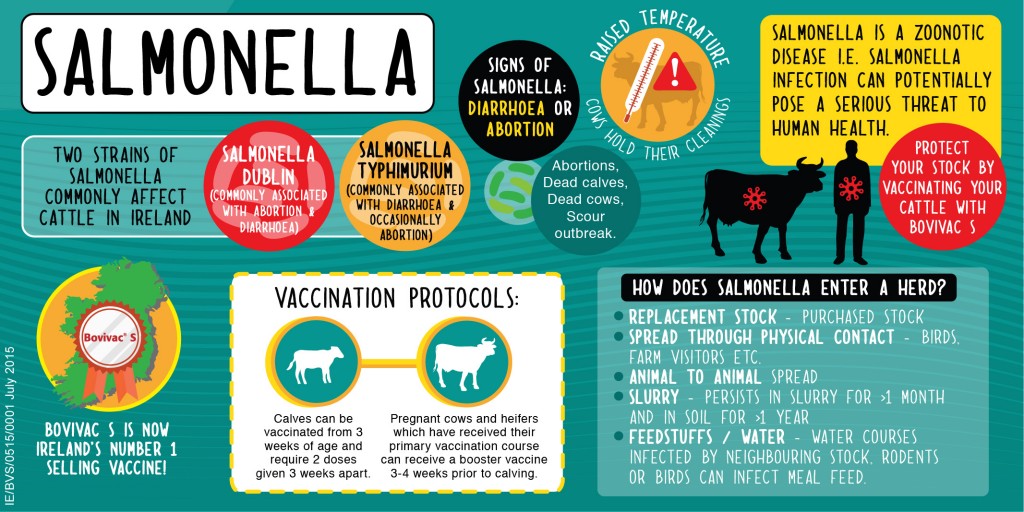 Salmonella is a zoonotic disease