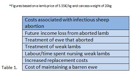 figures based on a lamb price