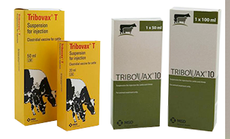 tribovax 10