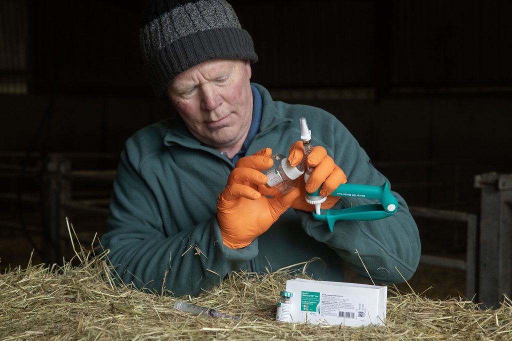 Dermot Kehoe mixing Bovilis INtranasal RSP Live vaccine prior to administration.