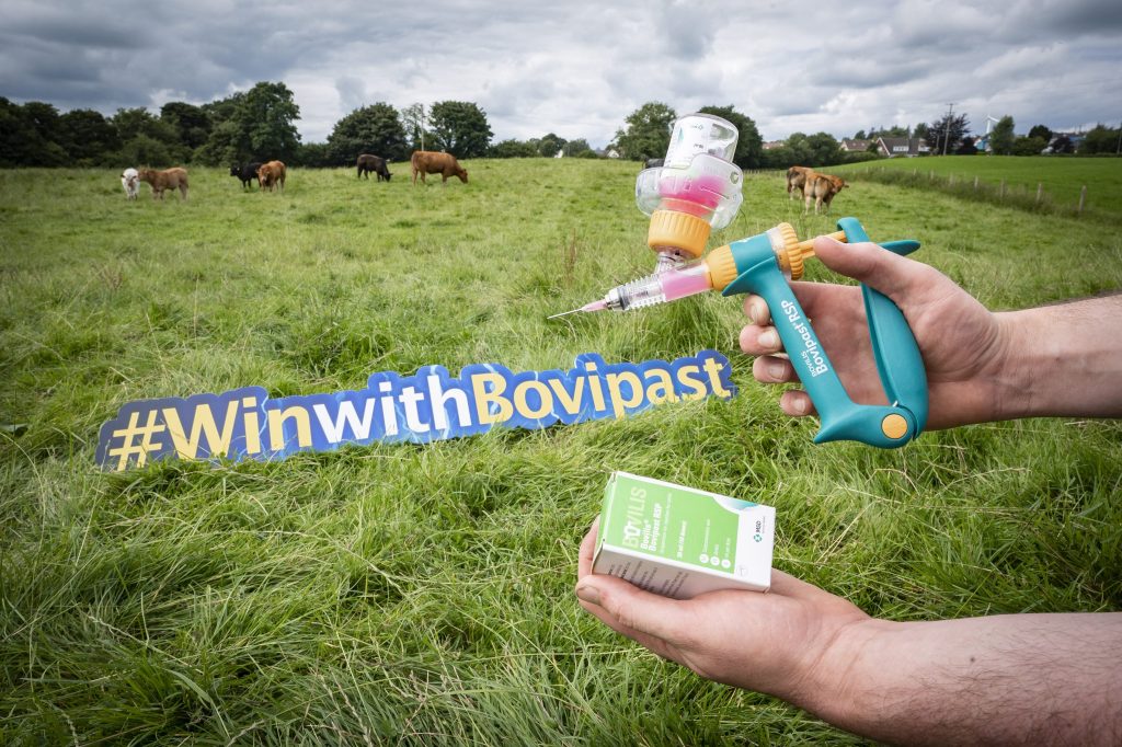 Win With Bovipast Image