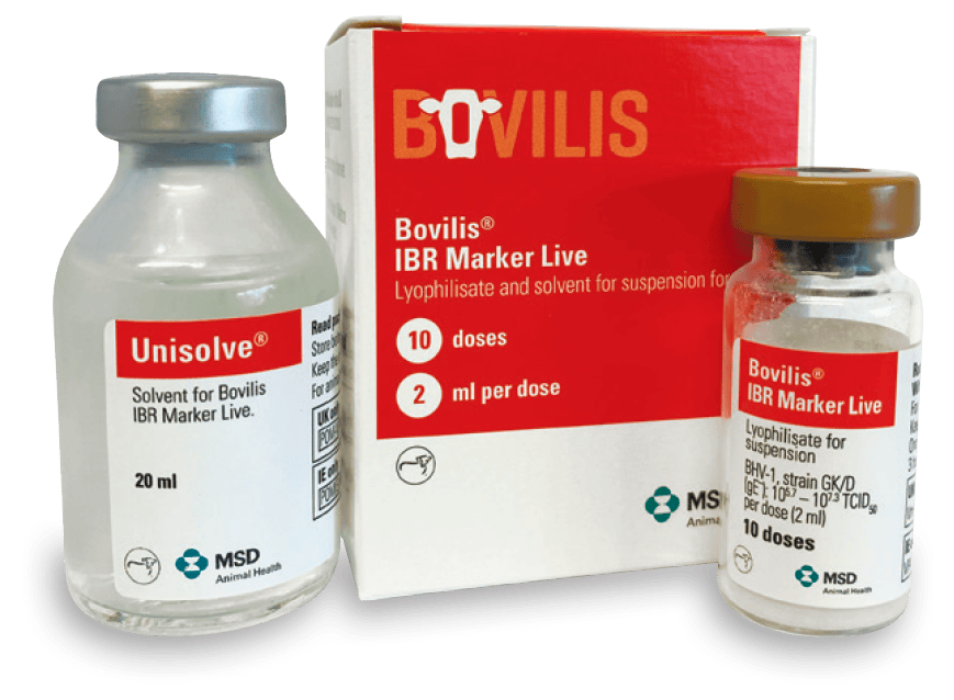 Bovilis IBR Marker Live and Bovilis IBR inactive - bovilis-ie